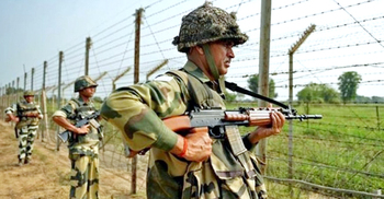 গরু নিয়ে আসার সময় বিএসএফের হাতে বাংলাদেশি আটক