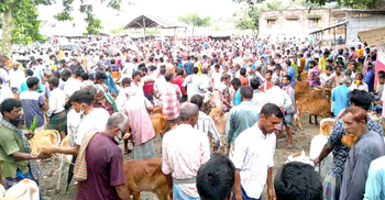 খাজনা আদায়ে ব্যাপক অনিয়ম