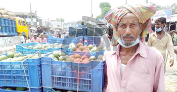 নওগাঁর বাজারে আমের ছড়াছড়ি, নেই ক্রেতা