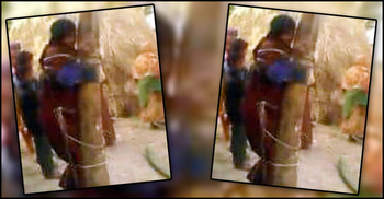 ভাই-ভাবিকে গাছের সঙ্গে বেঁধে বোনের জমি দখল