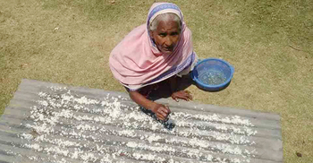 ত্রাণ না পেয়ে নষ্ট ভাত শুকাচ্ছেন, চাল হলে রান্না করবেন ভিক্ষুক