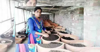 How a Bangladeshi woman scripted a success story in vermi venture