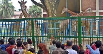 Govt shuts national zoo again