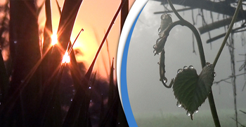 শীত আসছে