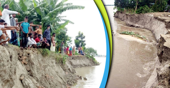 নদী ভাঙনে দিশেহারা মানুষ, ৬৫ বসতভিটা পদ্মাগর্ভে বিলীন