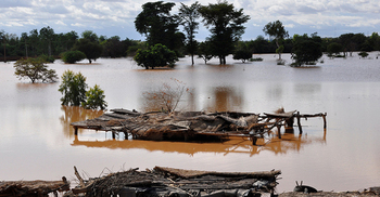 32 dead, 66,000 affected by rainy-season floods in Niger