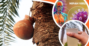 IEDCR warns against drinking raw date juice as 1 dies of Nipah virus