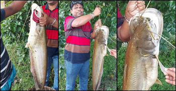 চার বন্ধুর ঘের জালে ধরা পড়লো ৮ কেজির বোয়াল