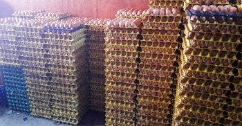 অভিযানের খবরে ডিমের দাম হালিতে কমলো ৮ টাকা