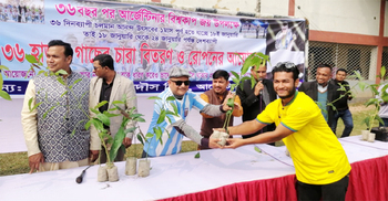 আর্জেন্টিনার বিশ্বকাপ জয়ে নোয়াখালীতে ৩৬ হাজার গাছের চারা বিতরণ