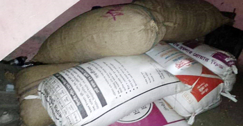 ইউপি সদস্যের ঘরে মিললো চুরি হওয়া শস্য