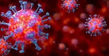 Coronavirus cases in Noakhali rise to 234