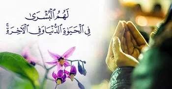 কুরআনে যাদেরকে আল্লাহর ওলি বলা হয়েছে