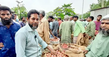 দেশের সবচেয়ে বড় পেঁয়াজের হাটে মণে কমেছে ৫০০ টাকা