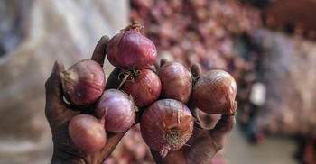 মিসরের পর তুরস্ক থেকে পেঁয়াজ আনছে ভারত