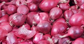 India to continue onion export to Maldives amid shortage