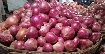 Onion prices skyrocketing; Tk 250 per kg