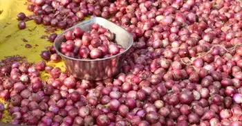 Onion prices double due to coronavirus panic-buying