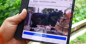 প্রচারণার অভাবে জমেনি অনলাইন পশুর হাট