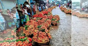 Bumper litchi yield brings smiles to B’baria farmers amid virus worry