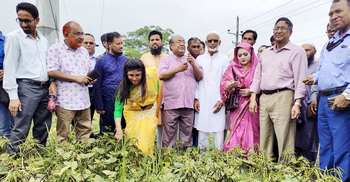 অশনি: দ্রুত ফসল তোলার পরামর্শ কৃষিমন্ত্রীর