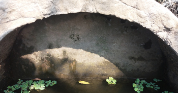 কালভার্টের মুখ আটকে পুকুর, জলাবদ্ধ হাজার বিঘা জমি