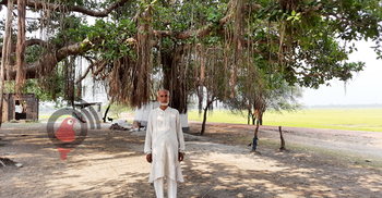 তিন যুগে বটগাছ লাগিয়েছেন ৪ শতাধিক, অন্যান্য অর্ধলাখ