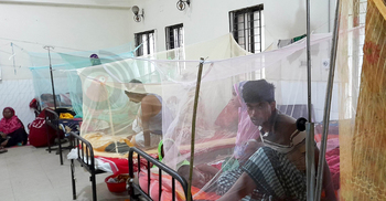 পাবনায় বাড়ছে ডেঙ্গু রোগী, বেশিরভাগই রূপপুর প্রকল্পের কর্মচারী