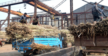 পাওনা ১৬ কোটি, প্রতিদিন যোগ হয় ৪০ লাখ টাকা