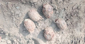 নিষ্ক্রিয় করা হলো মসজিদ চত্বরে উদ্ধার ৫টি ‘হ্যান্ড গ্রেনেড’