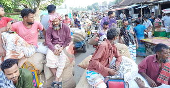 লোকসানের হিসাব কষছেন পেঁয়াজচাষিরা
