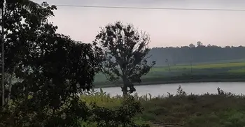 পাবনায় হালকা বৃষ্টি, সুফল পাবেন চাষিরা