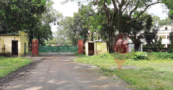 ১৫ মাস ধরে বন্ধ পাবনা চিনিকল, ভোগান্তিতে আখ চাষিরা