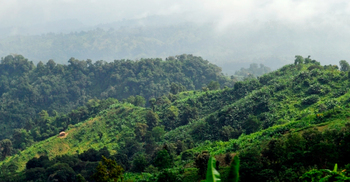 নাইক্ষ্যংছড়ি সীমান্তে যৌথবাহিনীর সঙ্গে সন্ত্রাসীদের গোলাগুলি