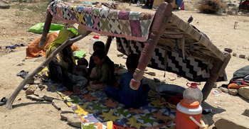 Pakistan floods: Dengue cases soaring after record monsoon