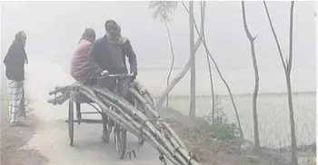 Panchagarh temperature dips to record 4.5˚C