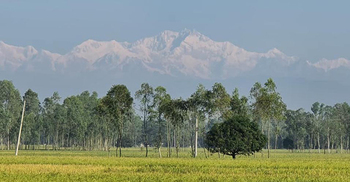 পঞ্চগড়ের উত্তরাকাশে জেগে উঠেছে নয়নাভিরাম কাঞ্চনজঙ্ঘা