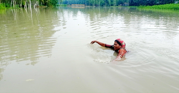 সিরাজগঞ্জে পানিবন্দি অর্ধলাখ মানুষ, দুর্ভোগ চরমে