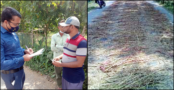 সড়কে শাকের বীজ শুকানোয় কৃষককে জরিমানা