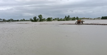 পটুয়াখালীতে জোয়ারে ভেসে গেল ৪৮ কোটি টাকার মাছ