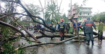 পটুয়াখালীতে ২৮১০ ঘরবাড়ি বিধ্বস্ত, ২ লাখ গাছপালা তছনছ