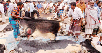 চামড়া পাচার রোধে সীমান্তে সর্বোচ্চ সতর্কতা