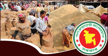 শেষ পর্যন্ত ব্যর্থই হলো বোরো মৌসুমে ধান-চাল সংগ্রহের লক্ষ্যমাত্রা