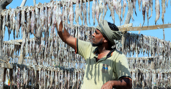 মাথায় ঋণের বোঝা নিয়ে ঘুরে দাঁড়ানোর চেষ্টা