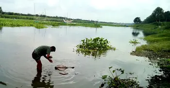 পাগলা নদীতে ডুবে দুই ভাইয়ের মৃত্যু