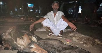 ব্রাহ্মণবাড়িয়ায় ক্রেতাশূন্য চামড়ার হাট   