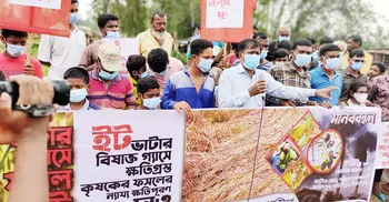 দিনাজপুরে ইটভাটার বিষাক্ত গ্যাসে ক্ষতিগ্রস্ত কৃষকদের মানববন্ধন