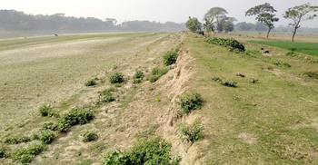 পাউবোর গড়িমসিতে হুমকিতে ৩ হাজার হেক্টর জমির বোরো ফসল
