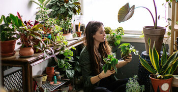 Keep these natural oxygen booster near you for good health