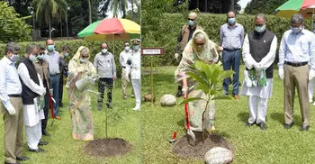 Bangladesh’s forestland to be raised to 25pc: PM